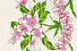 PBB2748 Natural