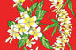 PBB2748 Red