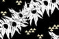 PBC0003 Black