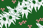 PBC0003 Green