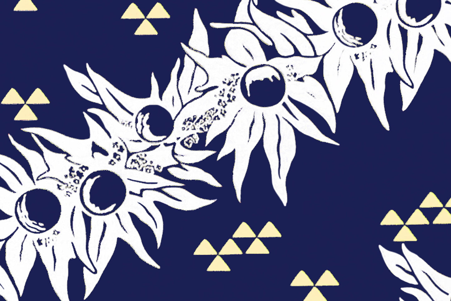 PBC0003 Navy