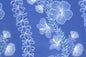 PBC0005 Navy