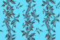 PBC0666 Brown/Aqua