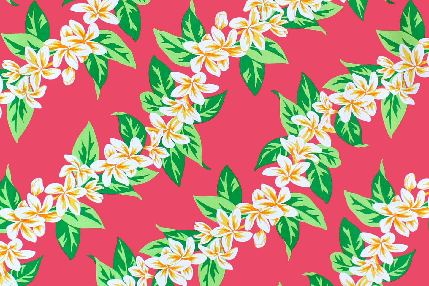 PBC0668 Cerise