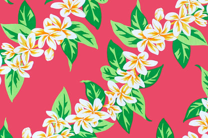 PBC0668 Cerise