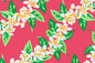 PBC0668 Cerise