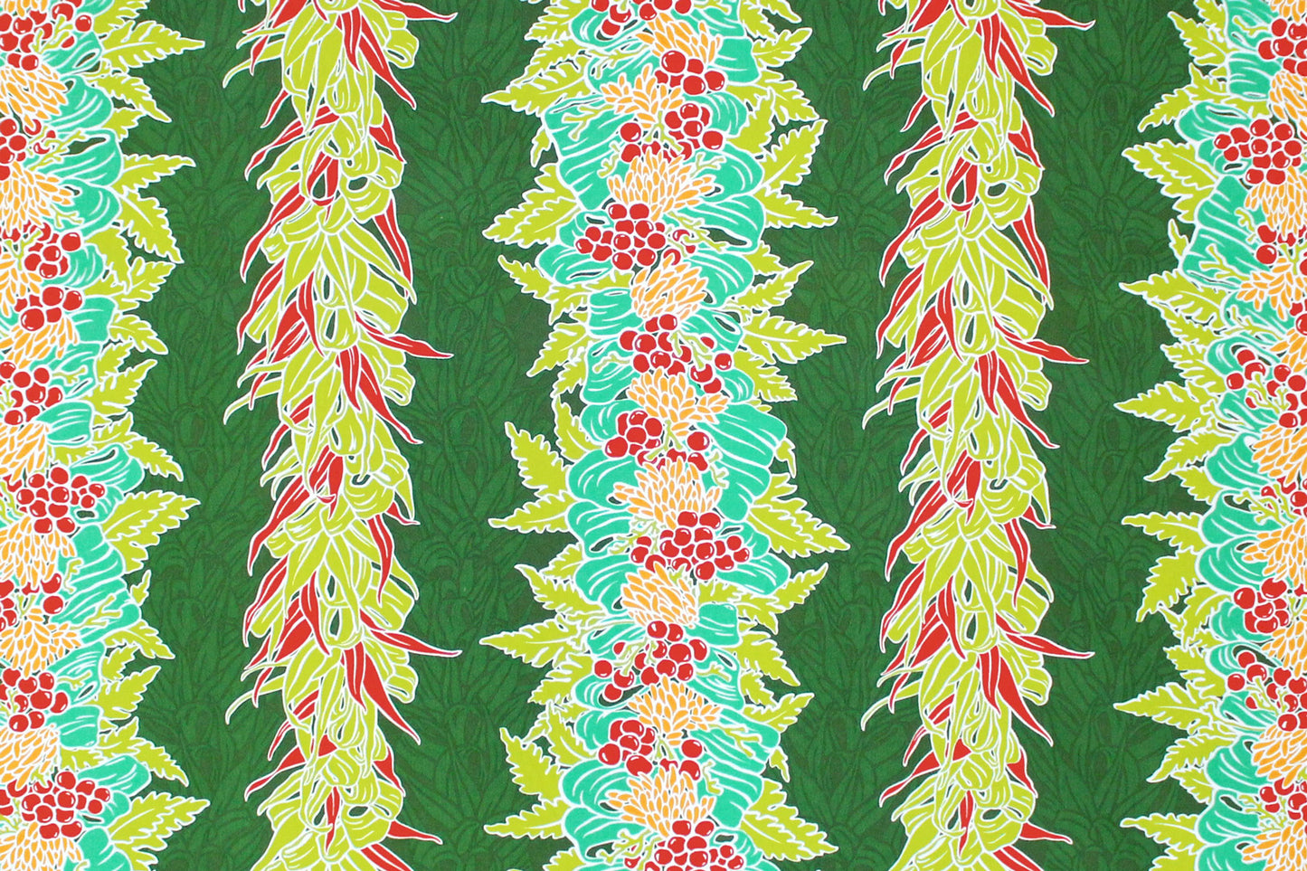 PBC0683 Fern