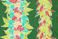 PBC0683 Fern