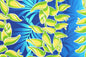PBC0684 Blue