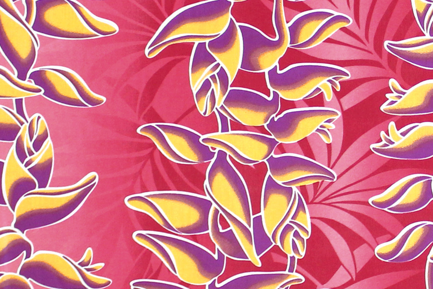 PBC0684 Fuchsia
