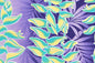 PBC0684 Purple