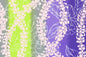 PBC0685 Purple
