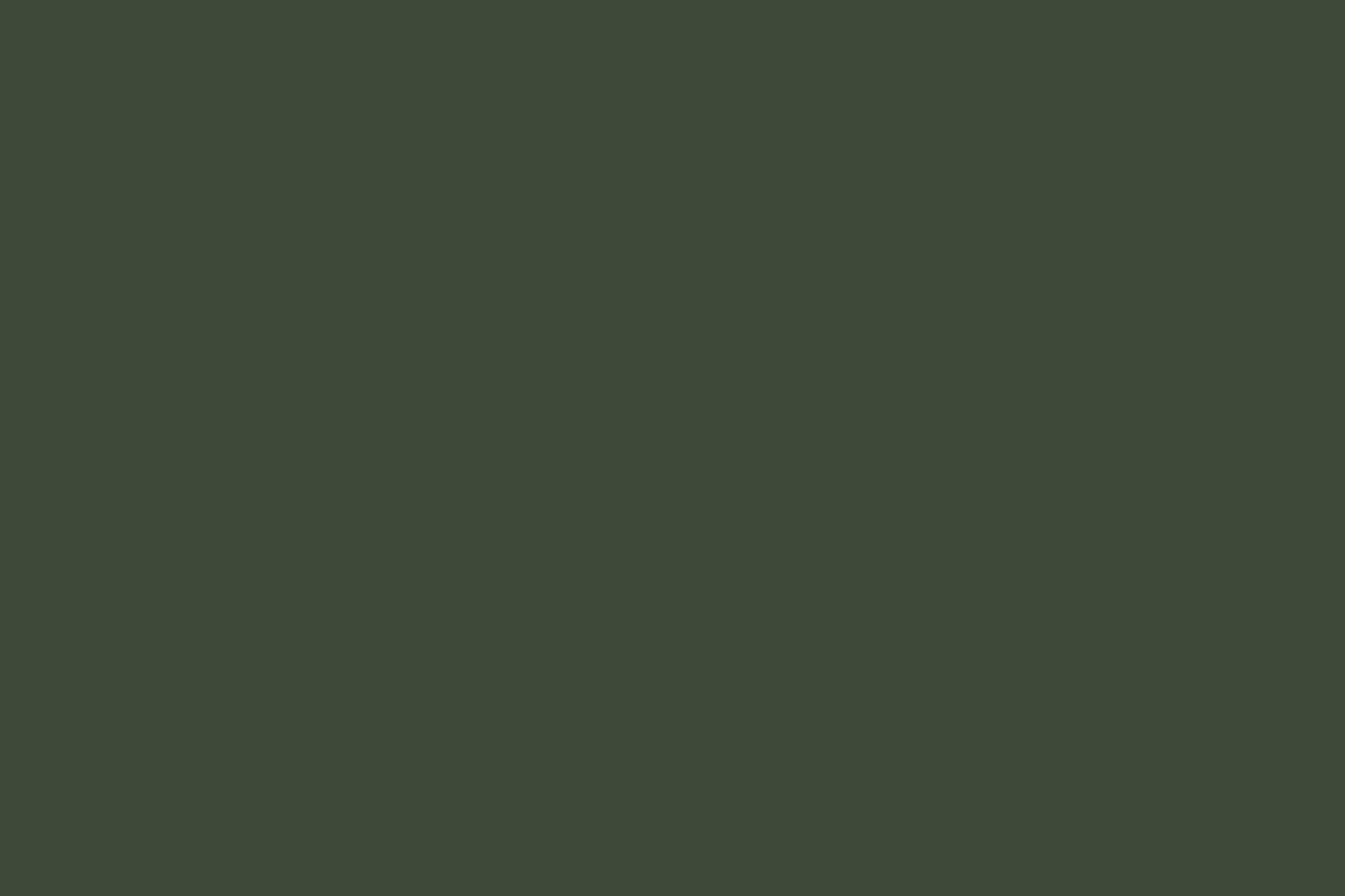 Solid Cotton Dusty Leaf