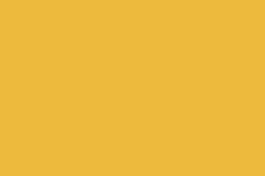 Solid Cotton Honey