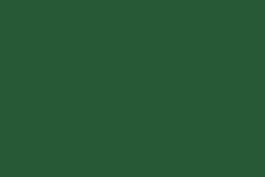 Solid Cotton Viridian