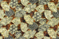 QF0030 Brown