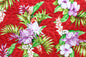 QF0036 Red