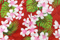 QF0037 Red