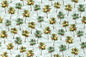 QF0040 Aqua