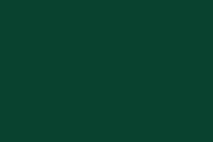 Solid Cotton Deep Forest