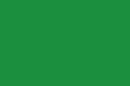 Solid Poly/Cotton Bright Kelly