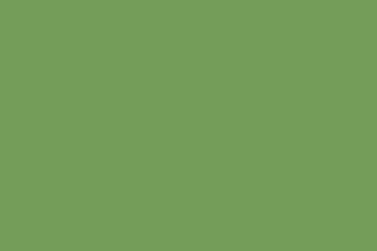 Solid Poly/Cotton Dark Olive