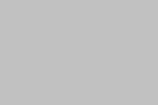 Solid Poly/Cotton New Gray