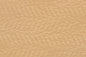 Solid QF Beige