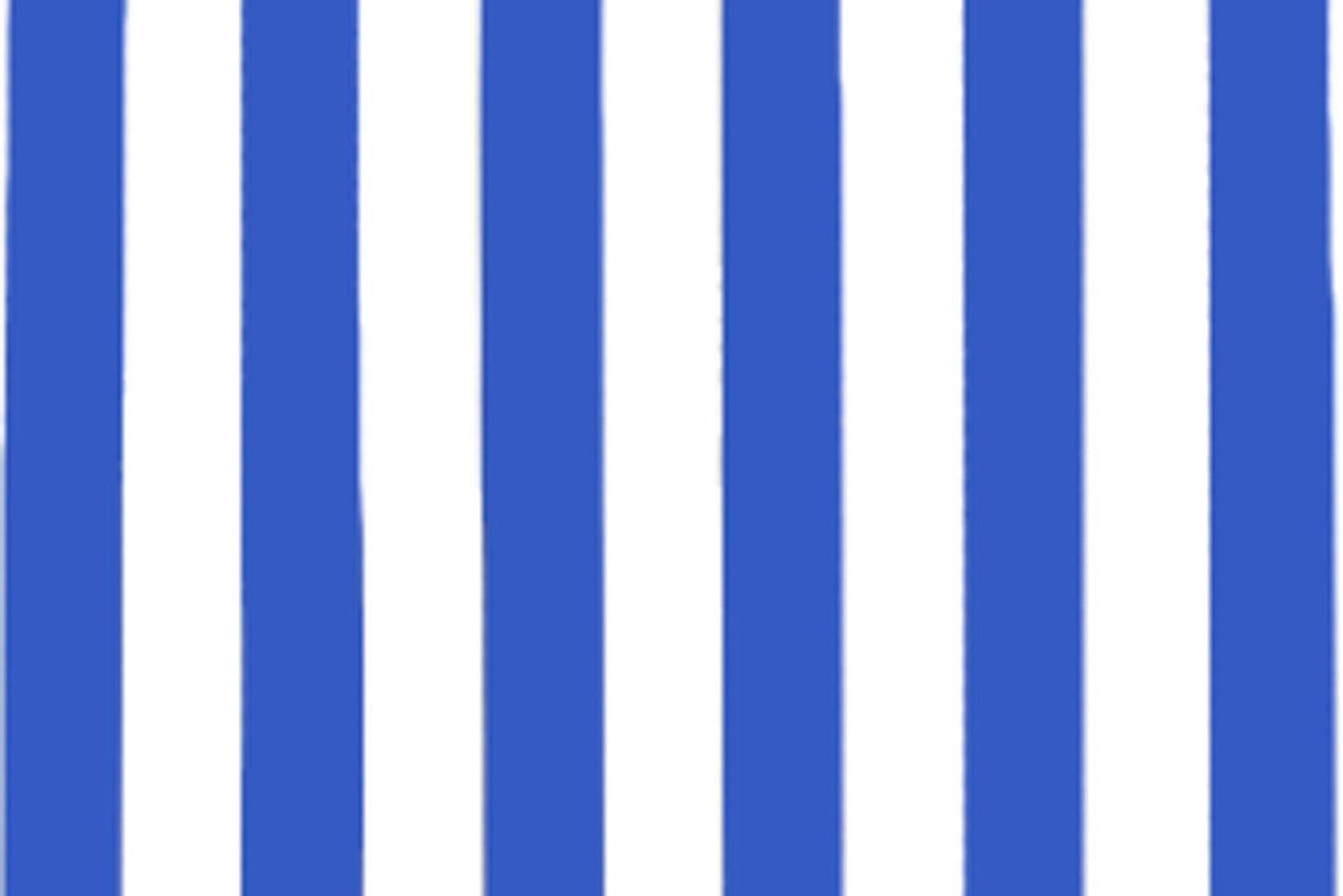SUNP0002 White/Blue