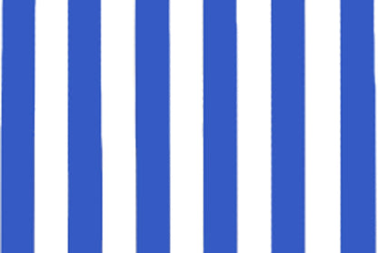 SUNP0002 White/Blue